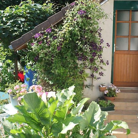 Chambre D'Hotes "Orchidees" Nogent-le-Rotrou Exterior foto